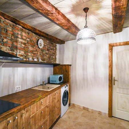 Downtown Rustic Apartment Brasov